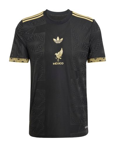 Mexico 2025 home