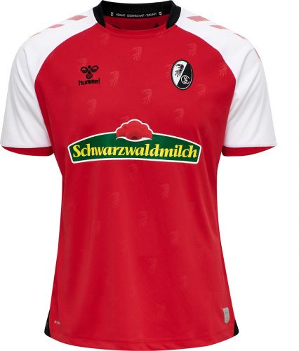 SC Freiburg 2020-21 home
