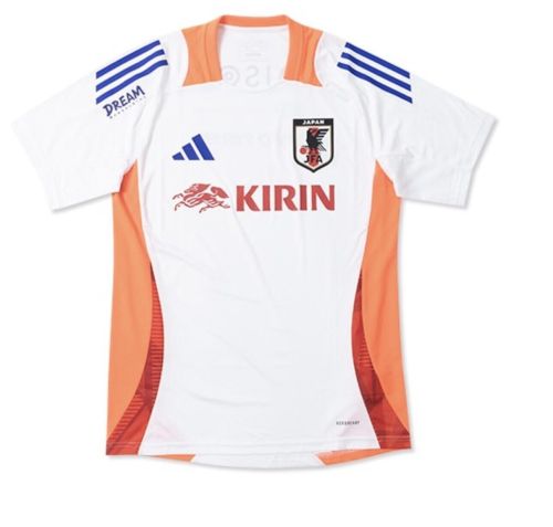 Japan 2024 home