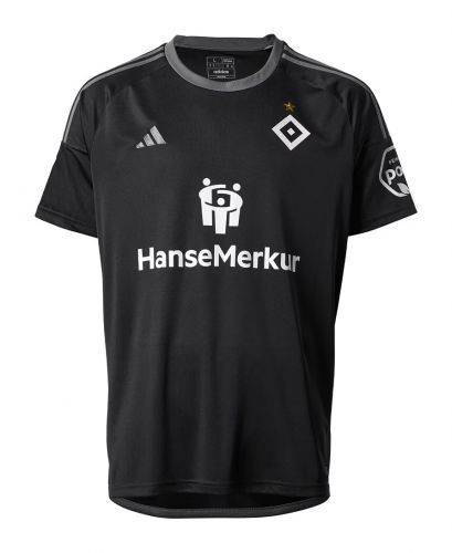 Hamburger SV 2023-24 third