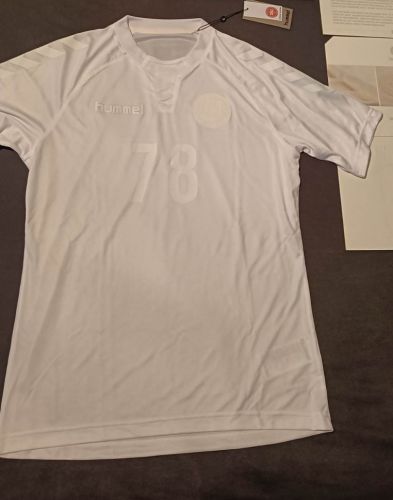 Denmark 2016-17 special