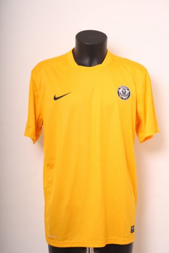 Venezia FC 2015-16 home