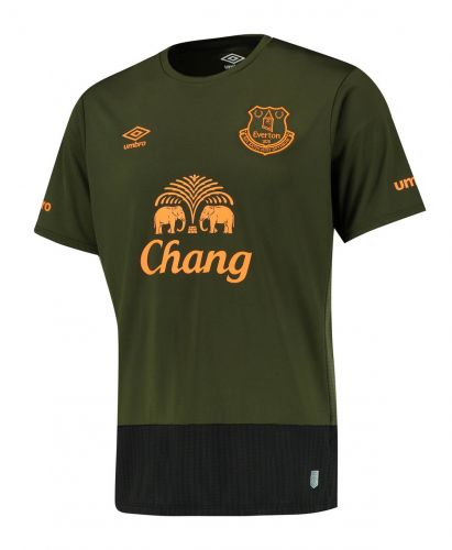 Everton 2015-16 third