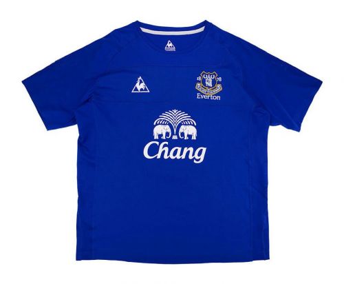 Everton 2010-11 home