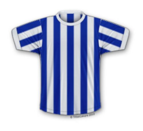 Brighton 1972-73 Home