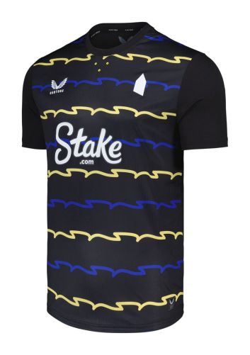 Everton 2025-26 third