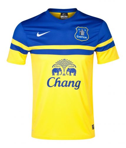 Everton 2013-14 away