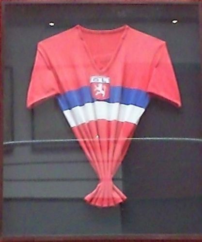 Olympique Lyon 1964-65 away