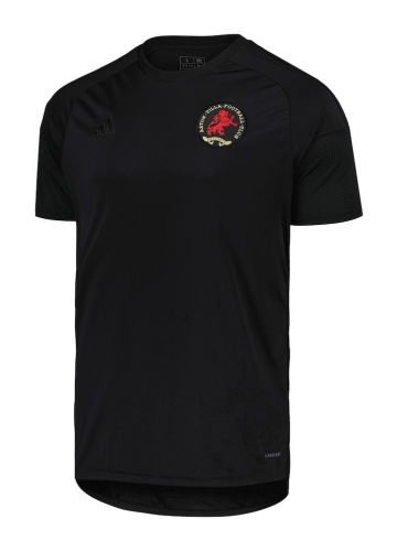 Aston Villa 2024-25 Home