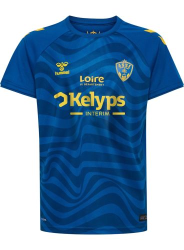 Saint-Étienne 2024-25 gk