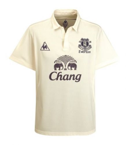 Everton 2010-11 third