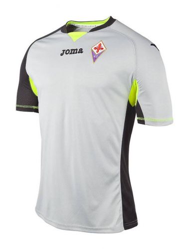 Fiorentina 2014-15 gk