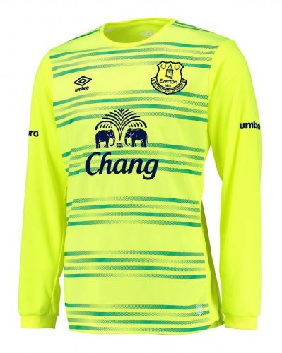 Everton 2015-16 home