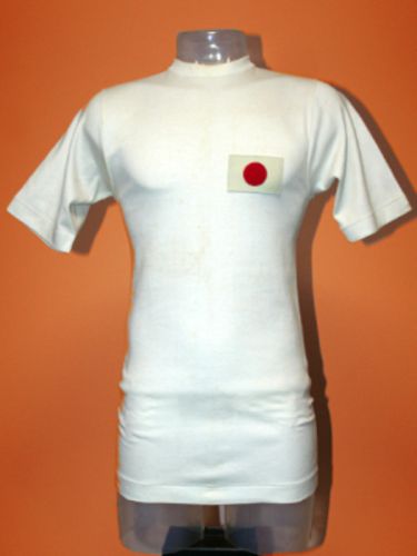 Japan 1971 home