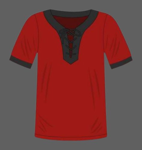 Bayer Leverkusen 1958-59 home