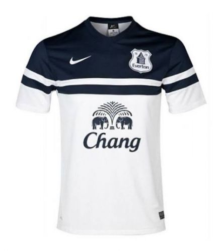 Everton 2013-14 third