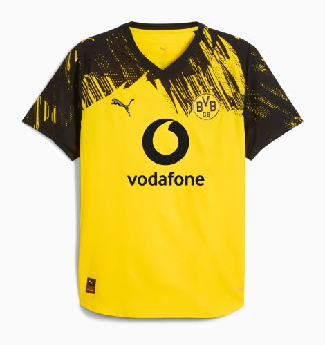 Borussia Dortmund 2025-26 Local