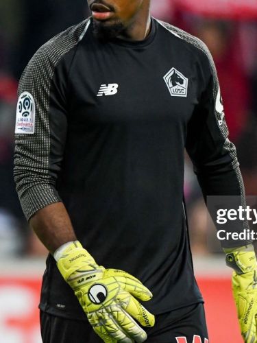Lille OSC 2018-19 gk