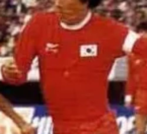 South Korea 1985 home