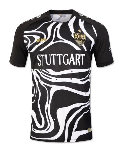 VfB Stuttgart 2023-24 special