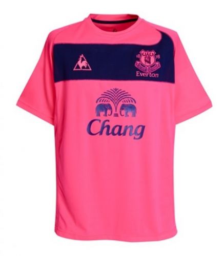 Everton 2010-11 away