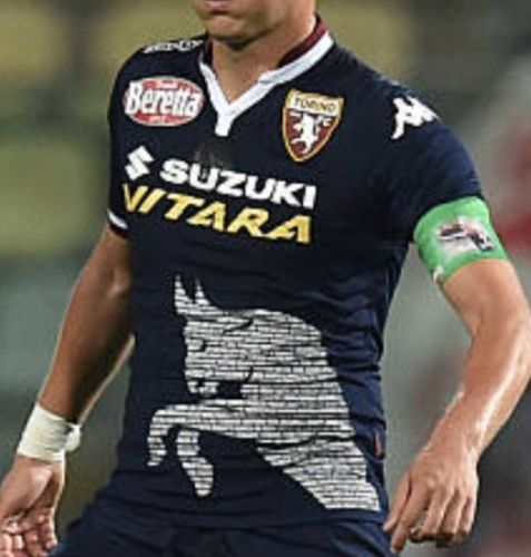 Torino FC 2015-16 third